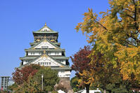 秋の大阪城 [GMA110011755]