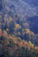 三国峠の紅葉 [GMA110011761]