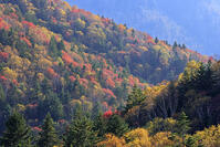 三国峠の紅葉 [GMA110011765]