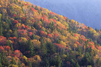 三国峠の紅葉 [GMA110011770]