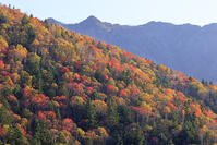 三国峠の紅葉 [GMA110011773]