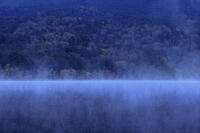 紅葉するオンネトー湖畔と朝もや [GMA110011788]