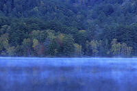 紅葉するオンネトー湖畔と朝もや [GMA110011791]