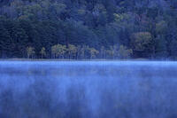 紅葉するオンネトー湖畔と朝もや [GMA110011792]