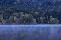 紅葉するオンネトー湖畔と朝もや [GMA110011794]
