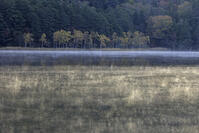 紅葉するオンネトー湖畔と朝もや [GMA110011796]