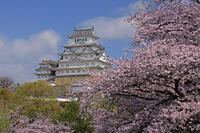 姫路城と桜 [GMA110011960]