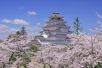 鶴ヶ城と桜 [GMA110012009]