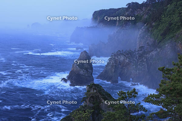 夜明けの北山崎 [GMA110011392]