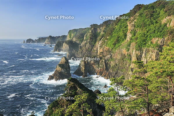 三陸海岸の北山崎 [GMA110011400]
