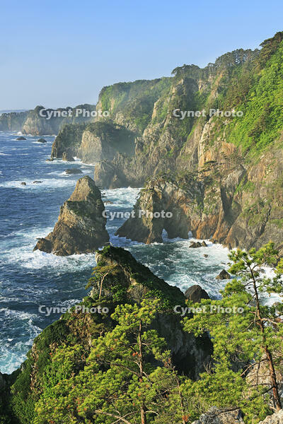 三陸海岸の北山崎 [GMA110011401]