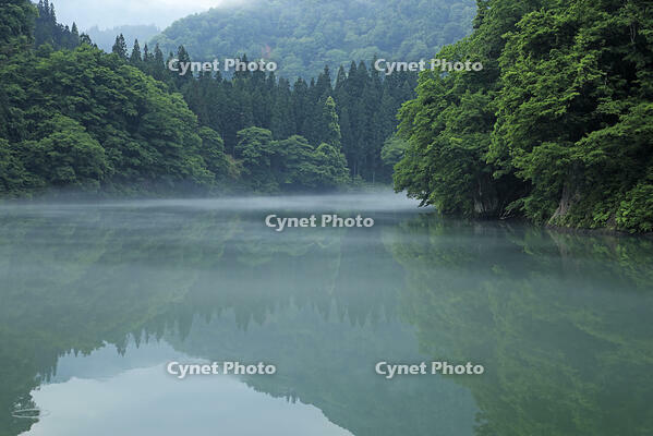 只見川の霧の霧幻峡 [GMA110011402]