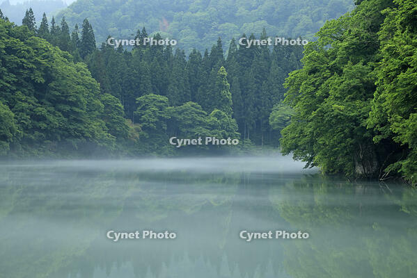 只見川の霧の霧幻峡 [GMA110011403]