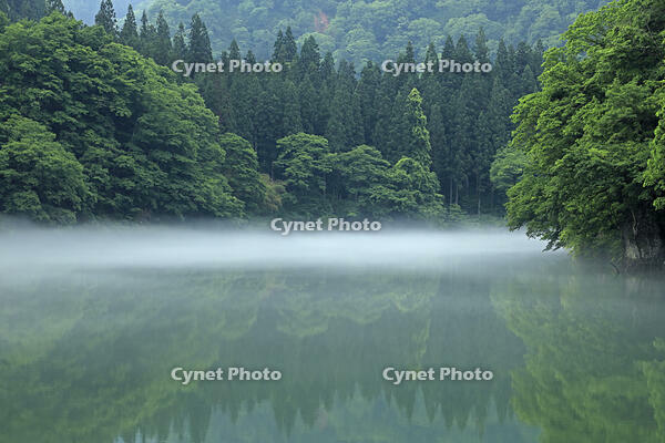 只見川の霧の霧幻峡 [GMA110011407]
