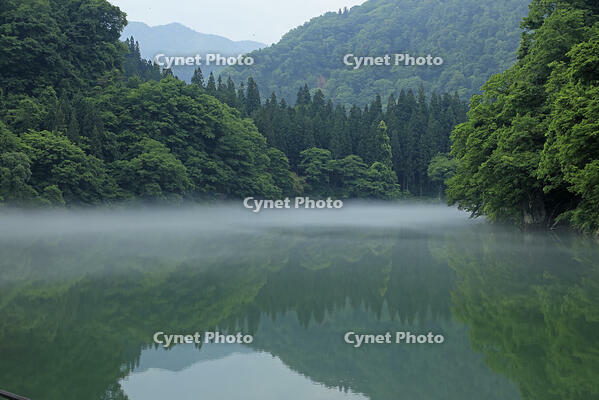 只見川の霧の霧幻峡 [GMA110011408]