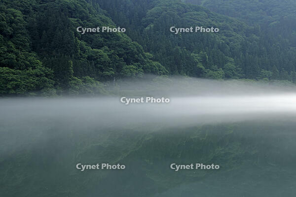 只見川の霧の霧幻峡 [GMA110011411]