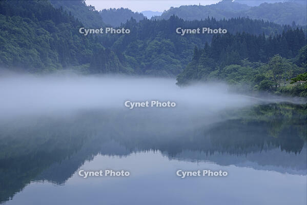 只見川の霧の霧幻峡 [GMA110011412]