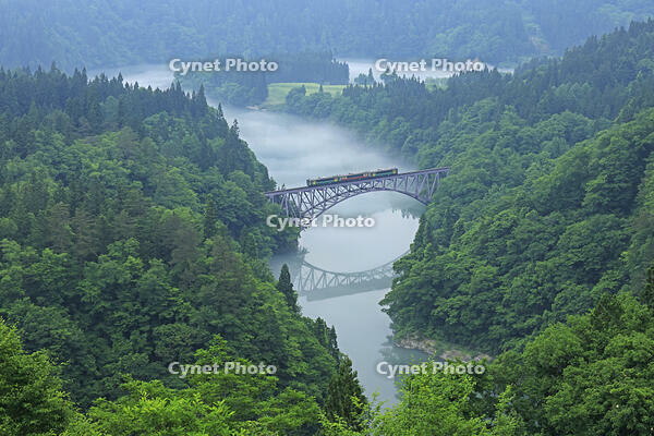 只見線の霧の第一只見川橋梁と列車 [GMA110011413]