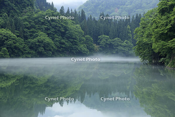 只見川の霧の霧幻峡 [GMA110011414]