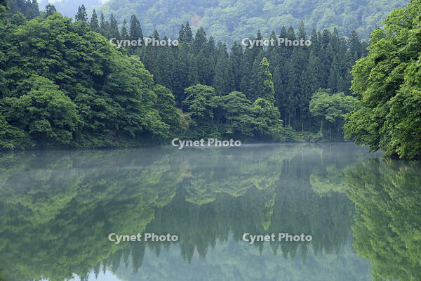 只見川の霧の霧幻峡 [GMA110011415]