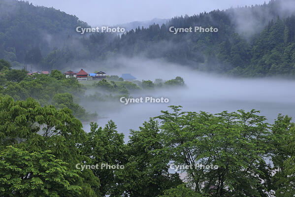 霧の只見川 [GMA110011426]