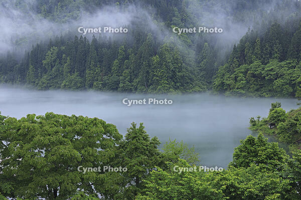 霧の只見川 [GMA110011427]