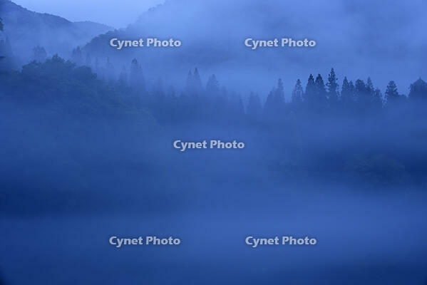 夜明けの只見川の霧の霧幻峡 [GMA110011429]