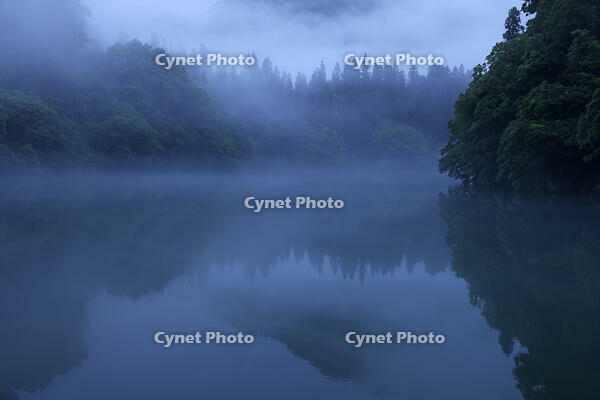 夜明けの只見川の霧の霧幻峡 [GMA110011432]