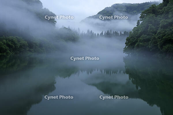 夜明けの只見川の霧の霧幻峡 [GMA110011435]