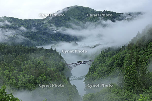 只見線の霧の第一只見川橋梁と列車 [GMA110011439]