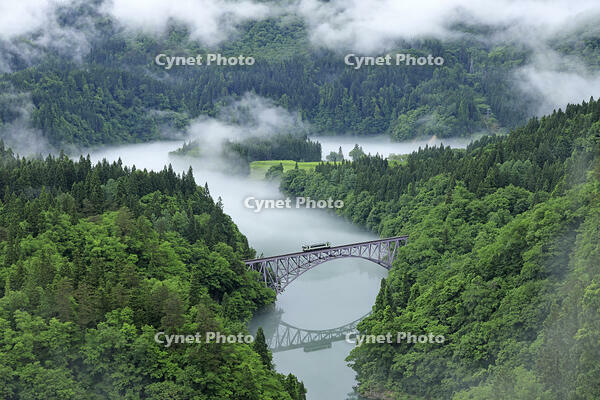 只見線の霧の第一只見川橋梁と列車 [GMA110011441]