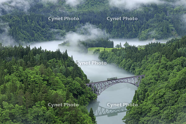 只見線の霧の第一只見川橋梁と列車 [GMA110011442]