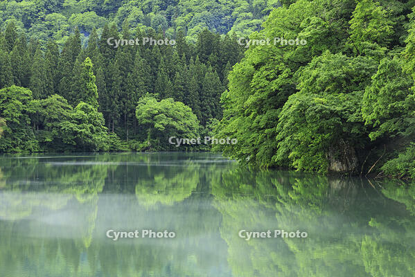 只見川の霧の霧幻峡 [GMA110011443]