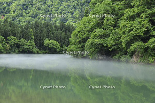 只見川の霧の霧幻峡 [GMA110011444]