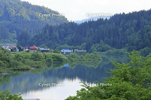 朝の只見川沿いの集落 [GMA110011447]