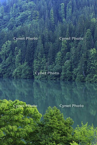 朝の只見川 [GMA110011449]