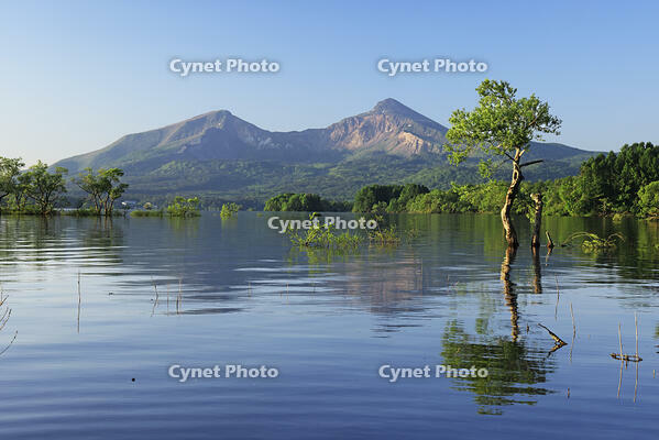 裏磐梯の桧原湖と磐梯山 [GMA110011450]