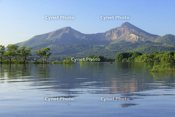 裏磐梯の桧原湖と磐梯山 [GMA110011451]