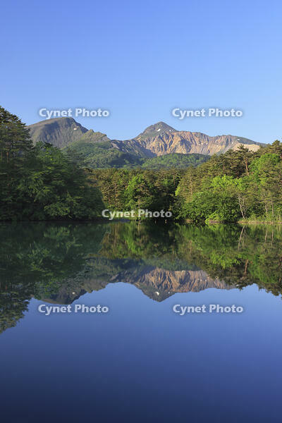 裏磐梯の五色沼の毘沙門沼と磐梯山 [GMA110011452]