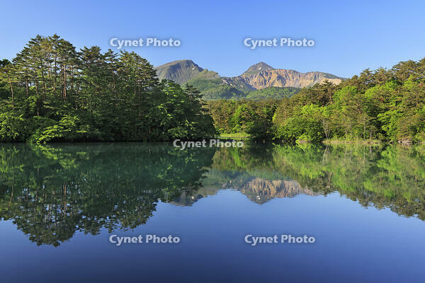 裏磐梯の五色沼の毘沙門沼と磐梯山 [GMA110011453]
