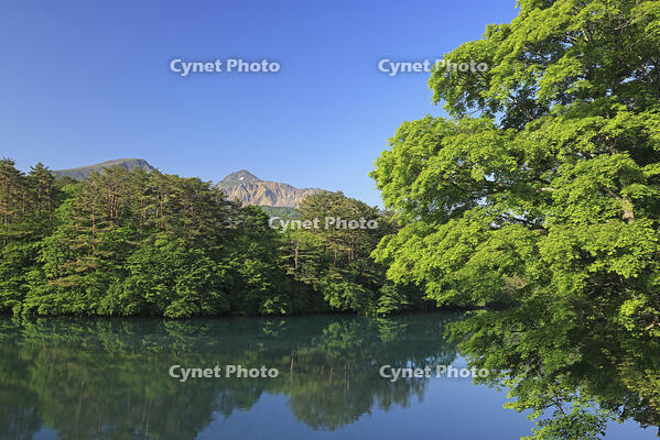 裏磐梯の五色沼の毘沙門沼と磐梯山 [GMA110011455]