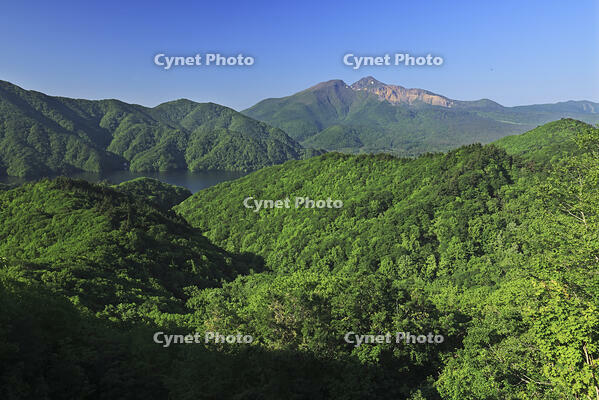 裏磐梯の磐梯吾妻レークラインから磐梯山 [GMA110011456]