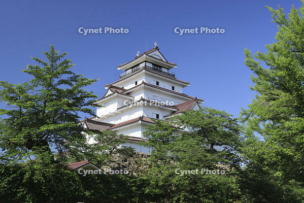 夏の鶴ヶ城 [GMA110011457]