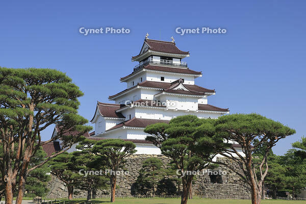 夏の鶴ヶ城 [GMA110011458]
