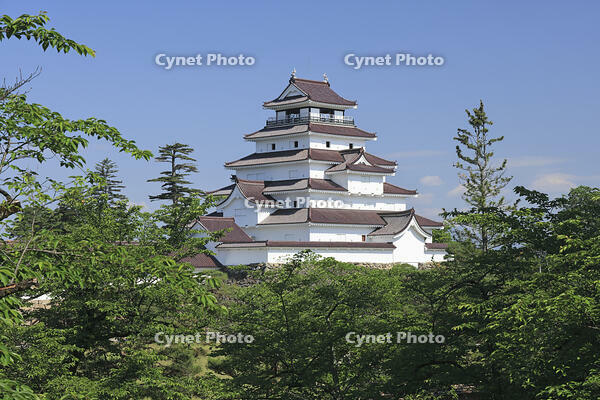 夏の鶴ヶ城 [GMA110011459]