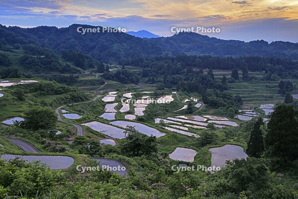 夜明けの星峠の棚田 [GMA110011477]