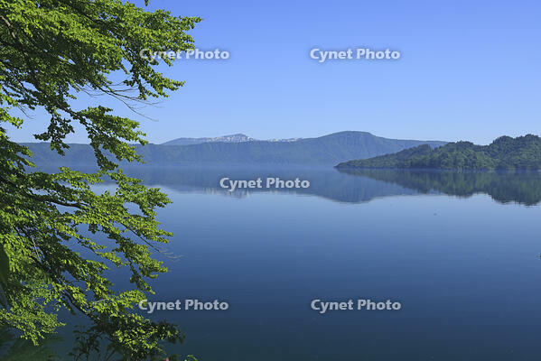 新緑の十和田湖 [GMA110011485]