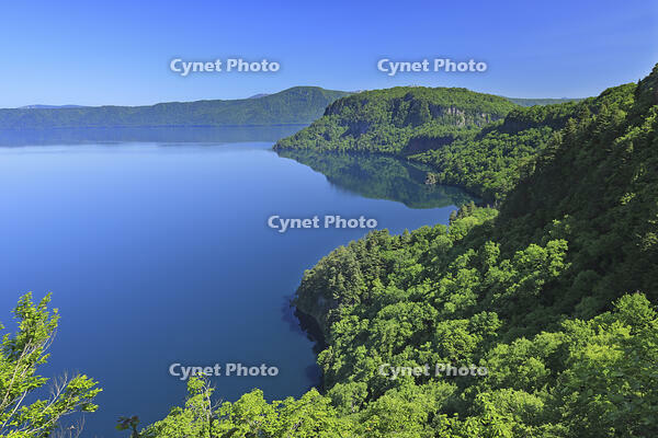 瞰湖台より新緑の十和田湖 [GMA110011486]