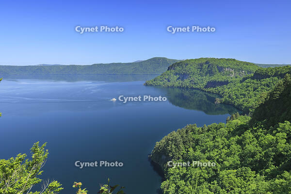 瞰湖台より新緑の十和田湖と観光船 [GMA110011488]