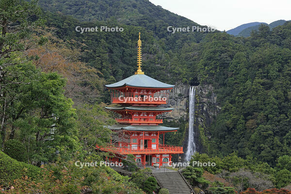 青岸渡寺の三重塔と那智の滝 [GMA110011694]